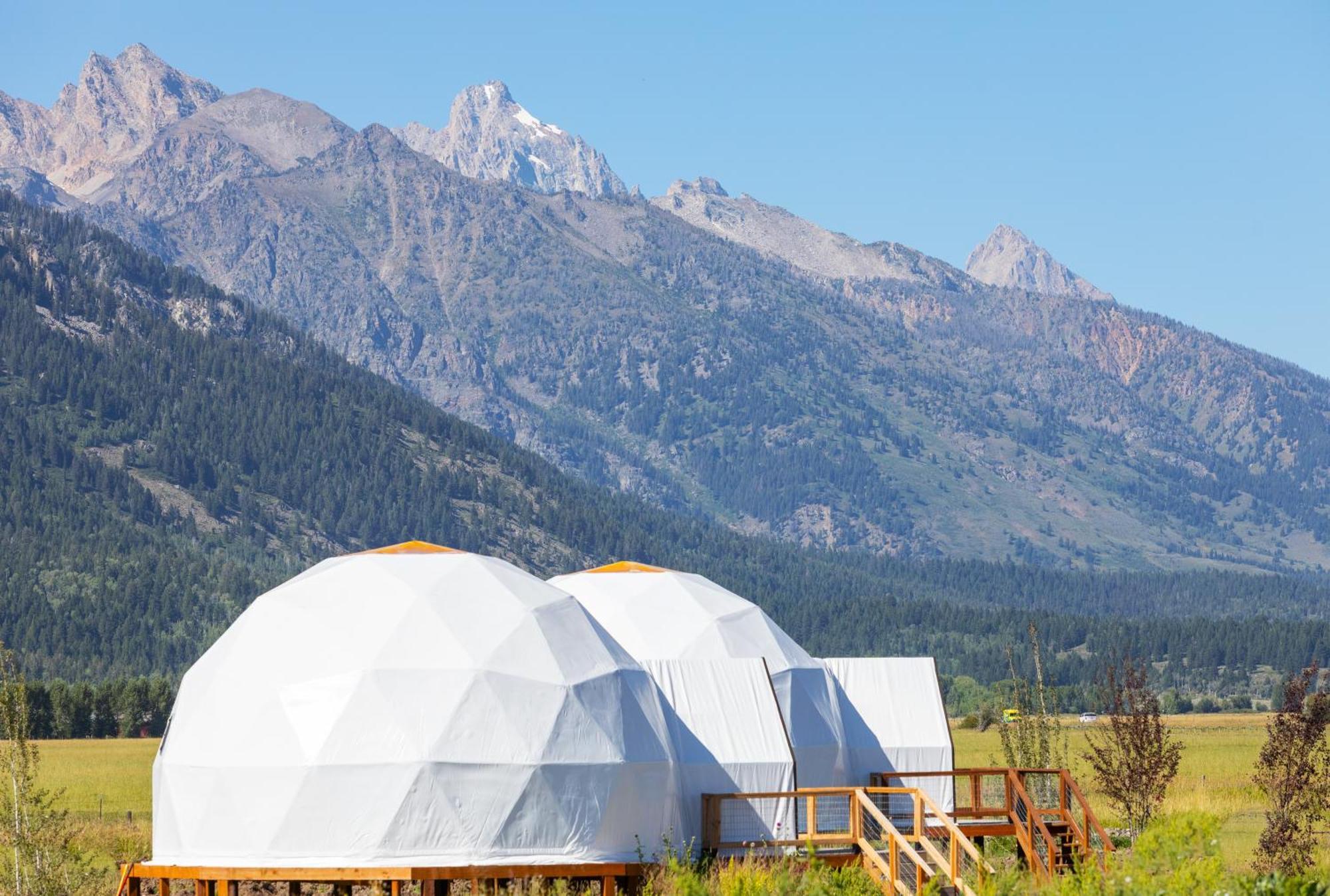 Tammah Jackson Hole * Wilson