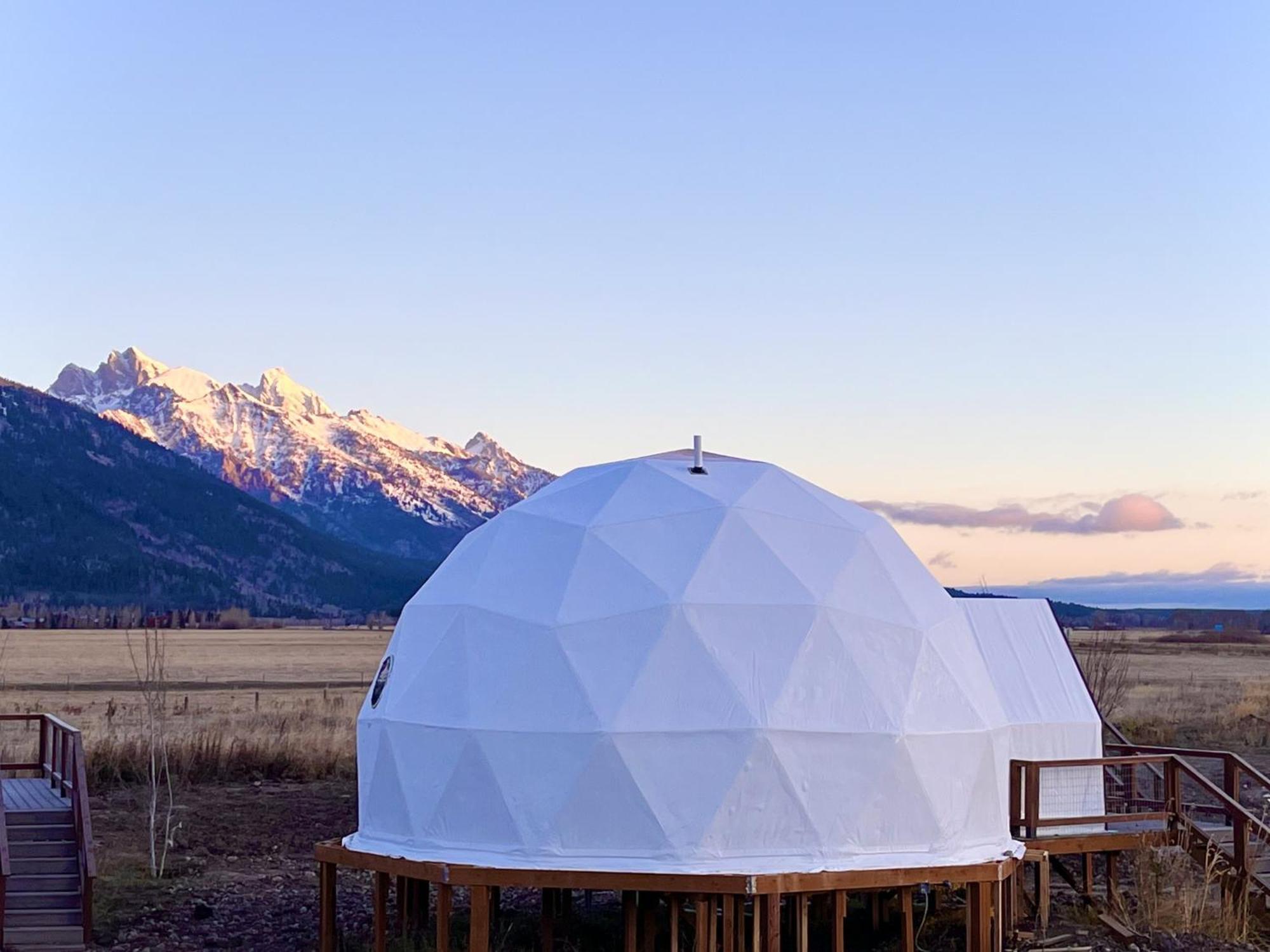 Tammah Jackson Hole * Wilson