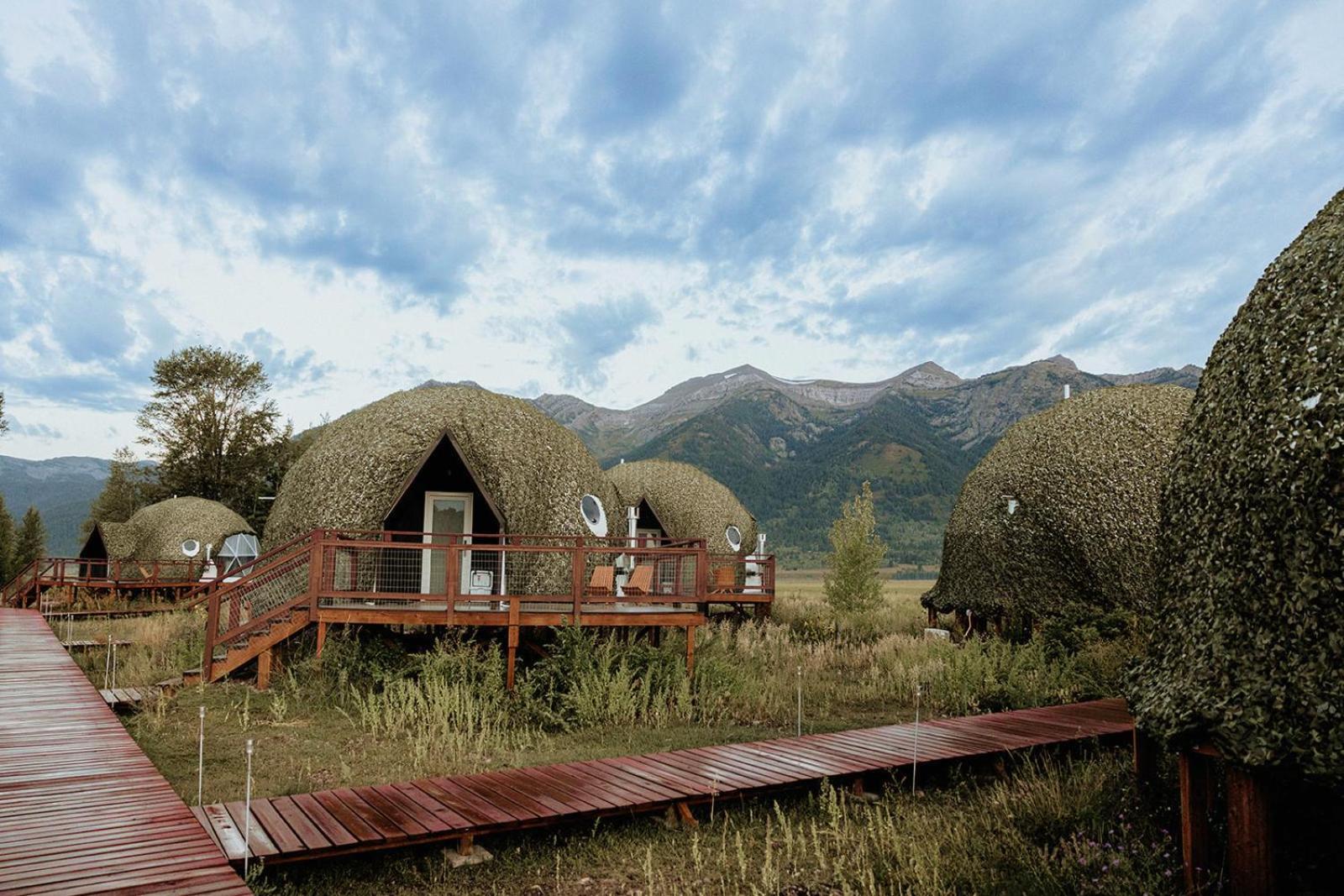 Tammah Jackson Hole * Wilson