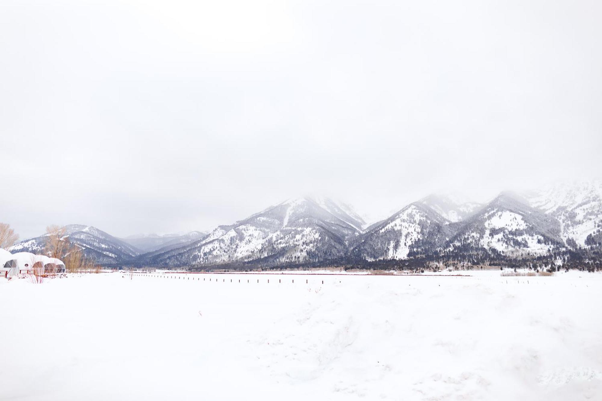 Tammah Jackson Hole